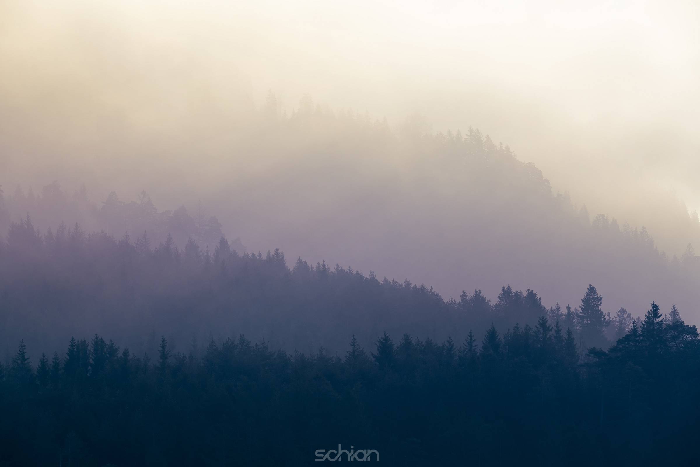 Three diffuse levels of mist pervaded by mountain forest as a background for nature themes