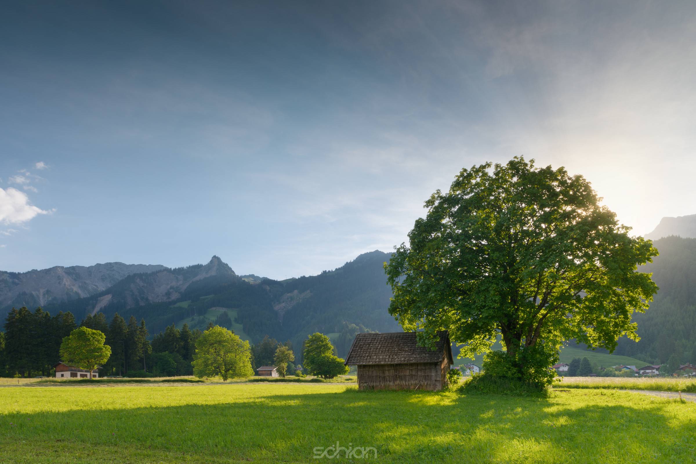 back light of sun with linden tree and hut at tyrolean alp meadow