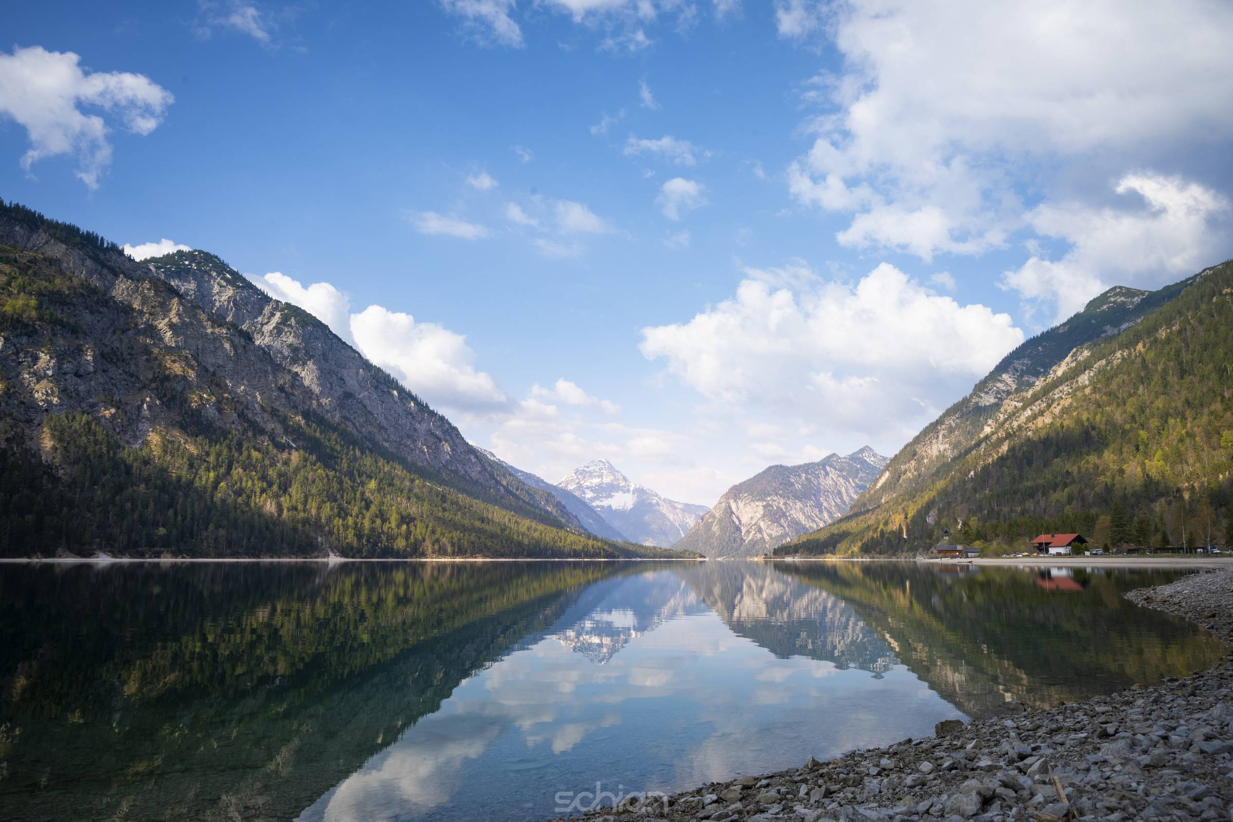 wonderful landscape of lake plansee with reflections of trees and alps mountain in tirol