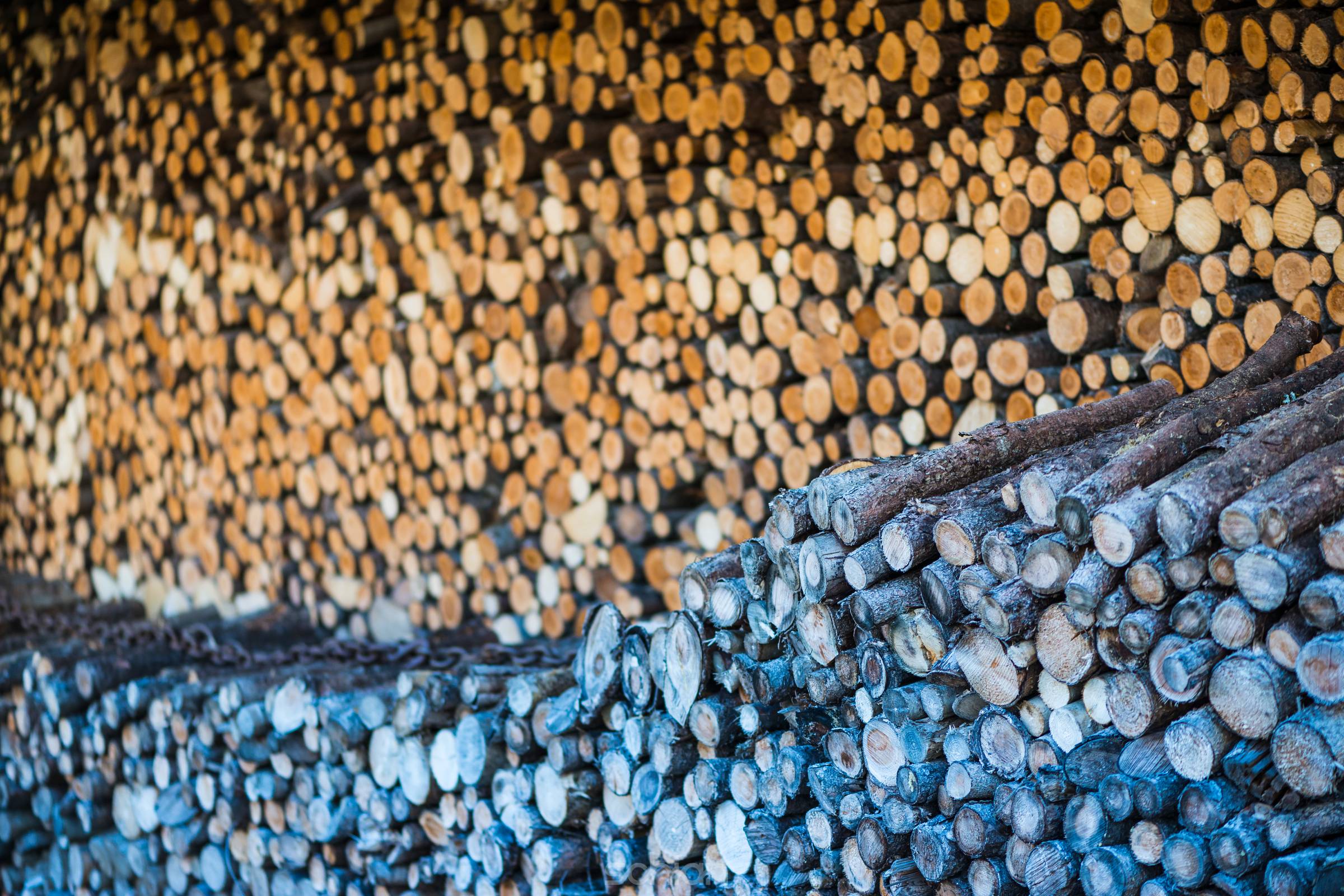 stack of round branch wood pieces for heating background