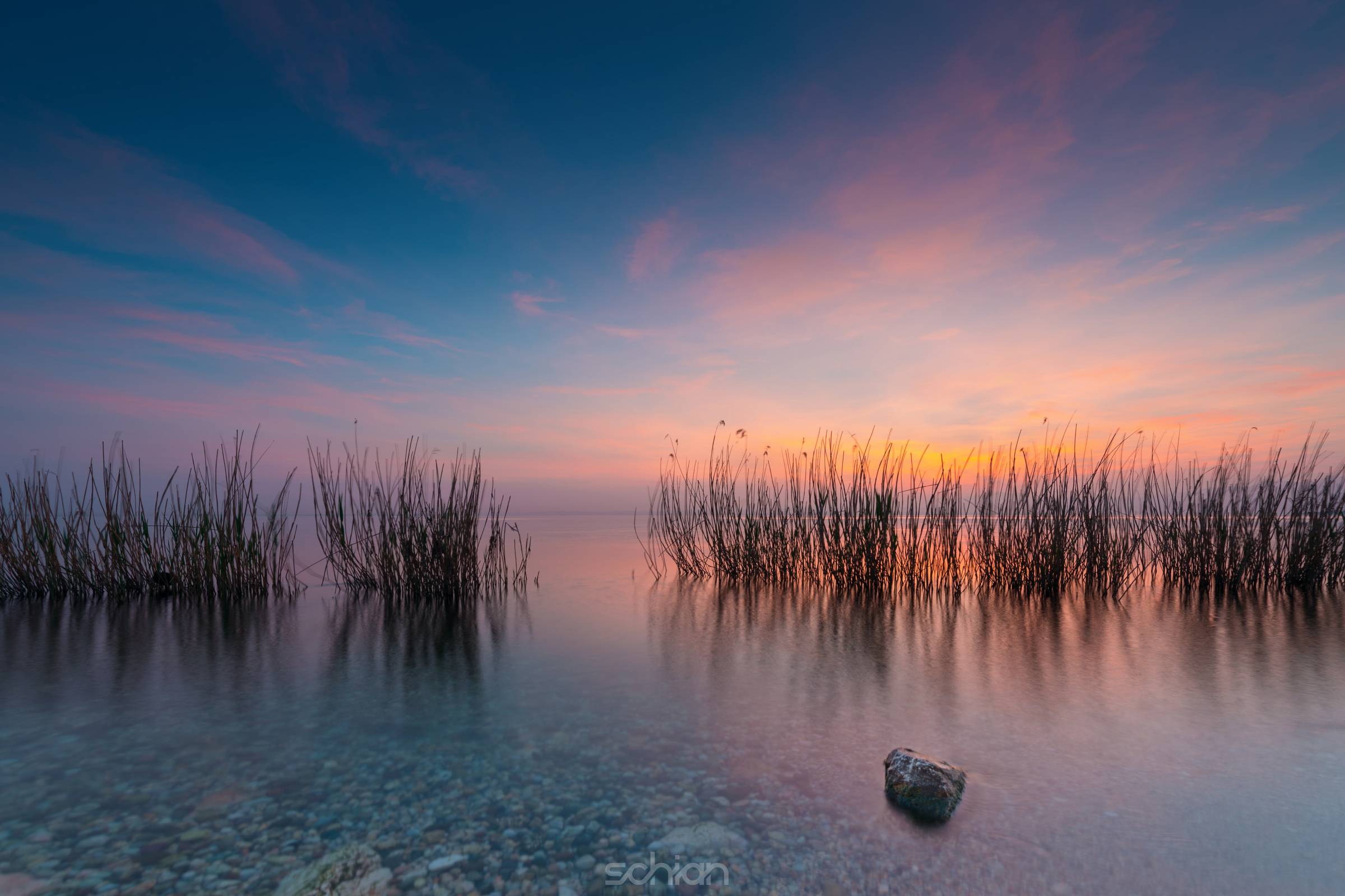 grass in lake gardasee at colorful rted blue sunset
