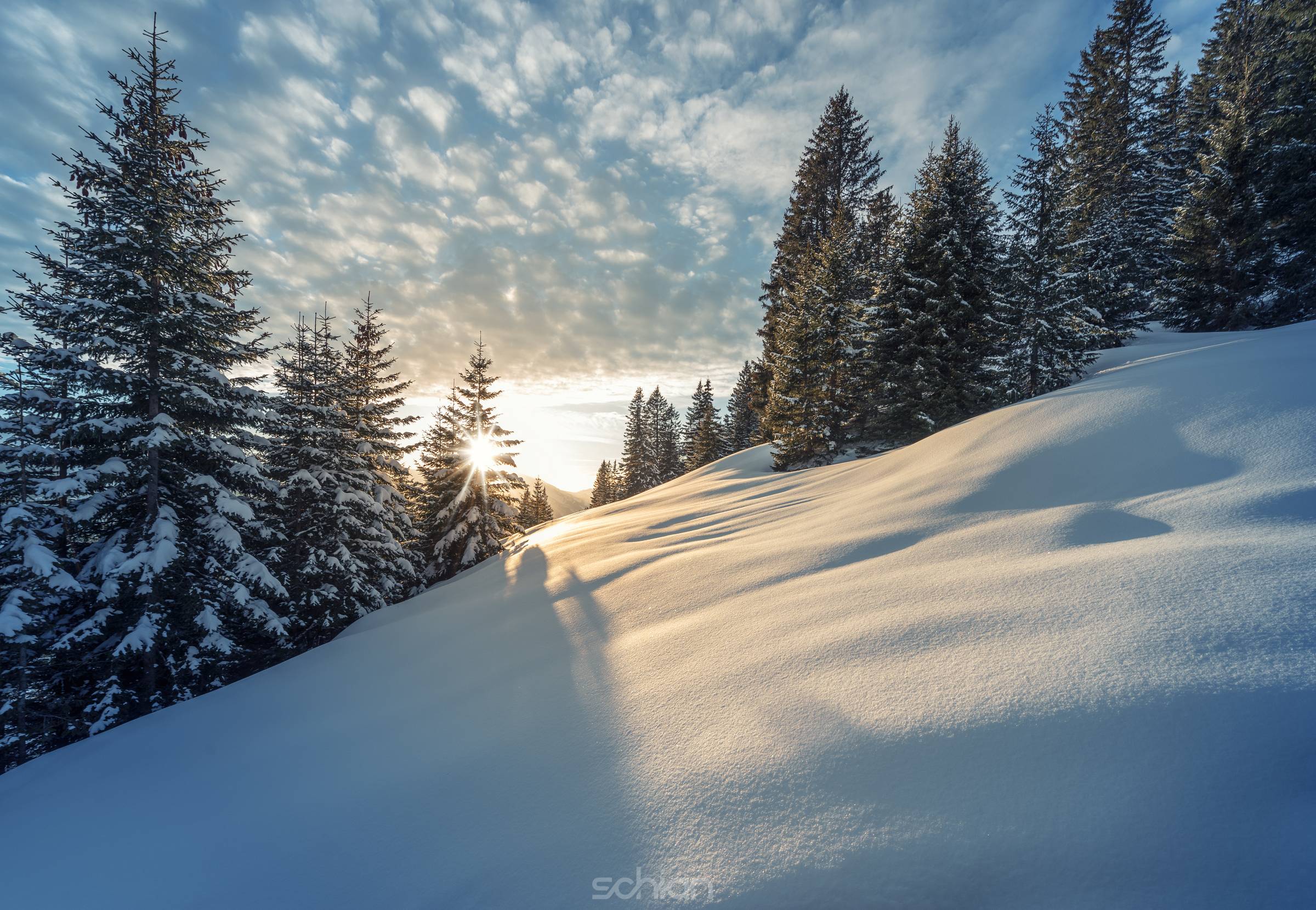 sunbeams thtough tree at winter mountain meadow in austria